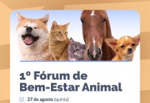 Araçatuba promove 1º Fórum de Bem-Estar Animal