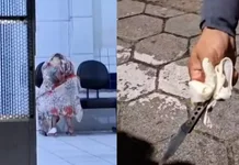 Casal é preso após jovem de 19 anos ser esfaqueado cerca de 17 vezes em festa no litoral de SP