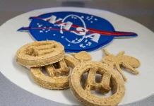 Biscoito feito de garrafa PET? Conheça o alimento criado para astronautas