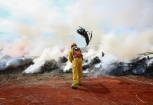 Risco de incêndio aumenta com calor e baixa umidade em SP