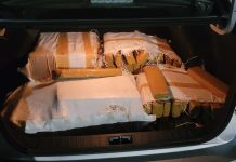 PRF prende casal com 149 kg de maconha na Dutra, em Lavrinhas