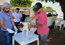 UVZ intensifica plantões para marcar Semana Estadual de Conscientização à Leishmaniose