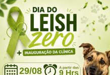 Unitoledo Wyden promove ação gratuita sobre leishmaniose com avaliação de cães em Araçatuba