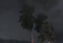 Homem morre afogado na Lagoa do Parque Solon de Lucena, em João Pessoa