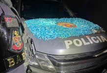 Homem é preso com mais de 9 kg de cocaína divididos em mais de 5 mil porções em Jacareí