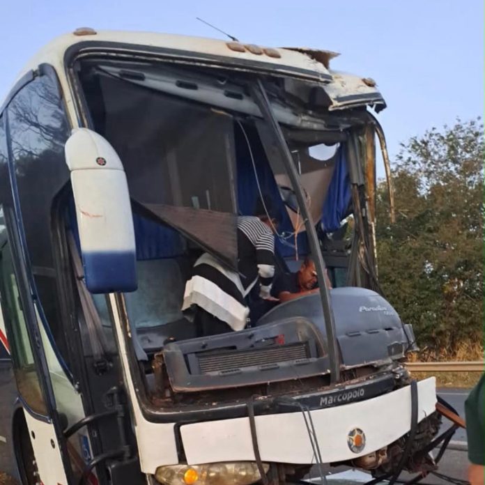 ônibus acidente