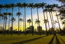 Parque da Cidade recebe sessão gratuita de cinema ao ar livre nesta sexta (28)