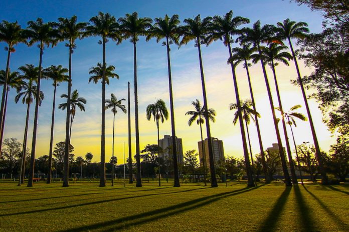 parque_da_cidade-007-claudio_vieira