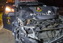 Viatura do Policiamento Penal bate em traseira de caminhão que tentava desviar de atropelamento na rodovia