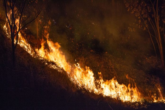 incêndio em mata