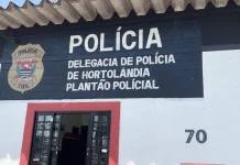 Homem usa pitbull para manter mulher em cárcere privado e impedir chegada da Polícia em Hortolândia