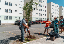Bertioga realiza plantio de 200 mudas nativas da Mata Atlântica em iniciativa de arborização urbana