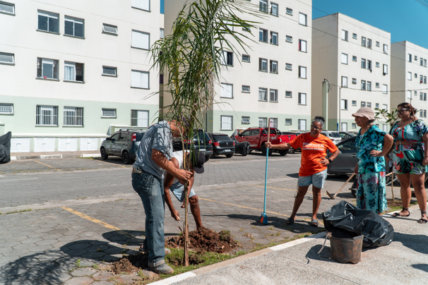 plantio de mudas em condominios de bertioga