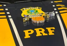 Grupo com remédios ilícitos é detido pela PRF em rodovia de Registro, Vale do Ribeira, e tinha como destino Santos