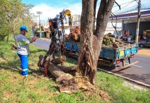 Prefeitura recolheu mais de 1.2 mil caminhões de resíduos em uma semana após o temporal
