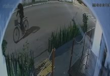 Homem quebra porta de vidro com pedra, furta televisor, celular e sorvetes de restaurante e é preso em Ubatuba; veja VÍDEO