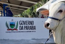 Paraíba flexibiliza prazo de existência para organizações que buscam parcerias com Secretaria de Agropecuária e Pesca