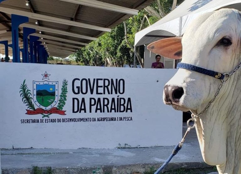 Paraíba flexibiliza prazo de existência para organizações que buscam parcerias com Secretaria de Agropecuária e Pesca