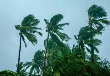 Alerta de vendaval segue em vigor na Paraíba até o fim desta terça-feira (4)