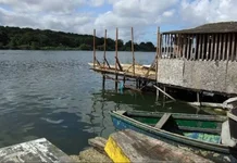 Feto é encontrado sem vida em área de mangue na cidade de Cubatão