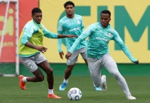 Palmeiras recebe LDU pelas quartas da Conmebol Libertadores