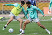 Palmeiras enfrenta LDU pelas quartas da Libertadores