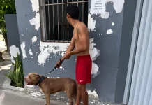 Funcionário de circo é preso suspeito de furtar cerca de R$ 33 mil de artistas em Campina Grande
