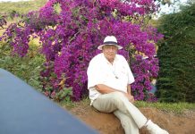 Motorista de 91 anos morre após bater em poste e atingir garí em Lagoinha