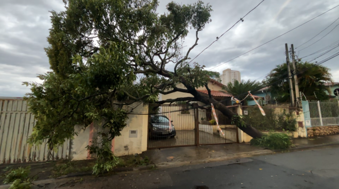 Chuva derruba árvores e causa alagamento durante madrugada em Campinas Chuva derruba árvores e causa alagamento durante madrugada em Campinas