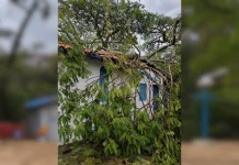 Defesa Civil retira galhos que caíram sobre capela após chuvas em Ilhabela