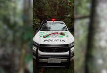 Polícia Ambiental apreende arma e munições em Paraibuna