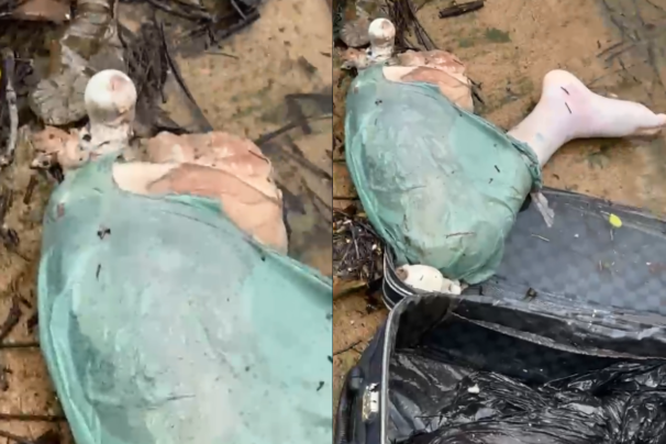 Mala com ossada é encontrada boiando em píer