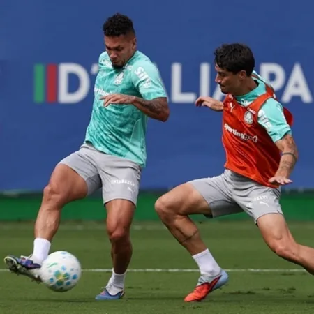 Paulinho, divulgação Palmeiras
