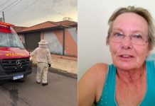 Idosa atacada por enxame de abelhas africanas morre em Botucatu