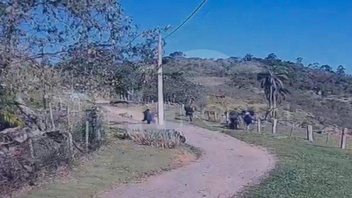 AGORA: Criminosos tentam invadir condomínio em Joaquim Egídio, trocam tiros com agentes de segurança e fogem para área de mata em Campinas