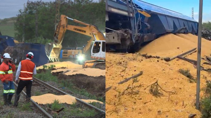 Sete vagões carregados com milho tombam durante descarrilamento Sete vagões carregados com milho tombam durante descarrilamento