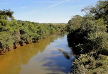 Homem morre após embarcação virar no Rio Sapucaí, em SP