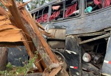 Ônibus cai em ribanceira e deixa cinco mortos em Cruzeiro