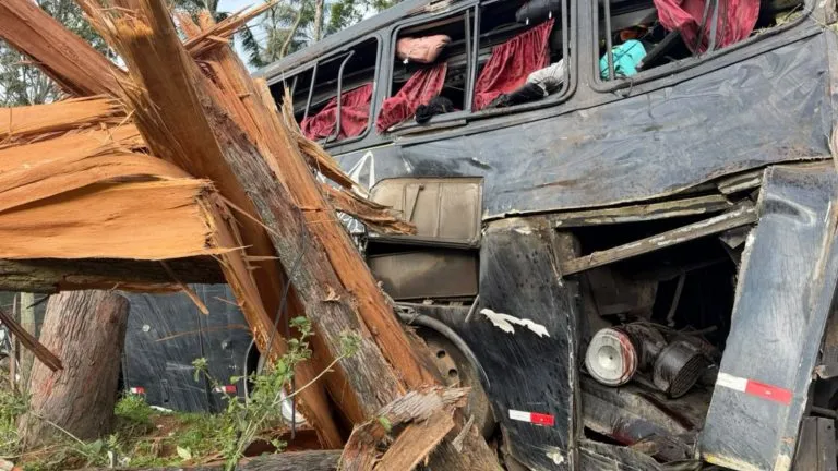 Motorista de ônibus que tombou em Cruzeiro é solto após audiência de custódia