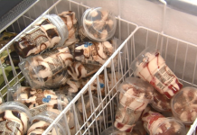 Dia do Sorvete: conheça os benefícios do alimento