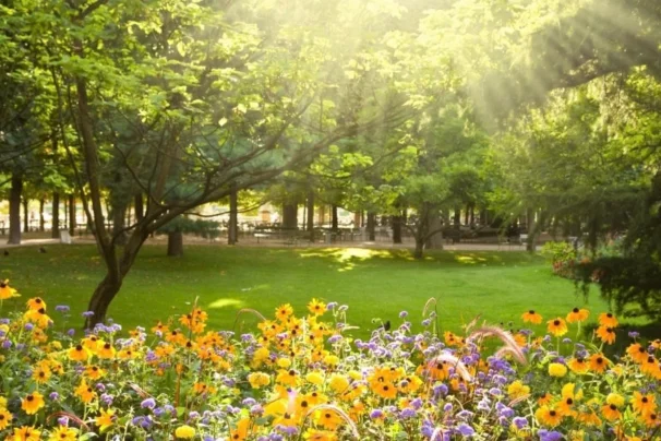 Primavera