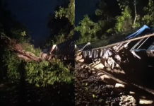 Trem descarrila e tomba seis vagões em São Vicente