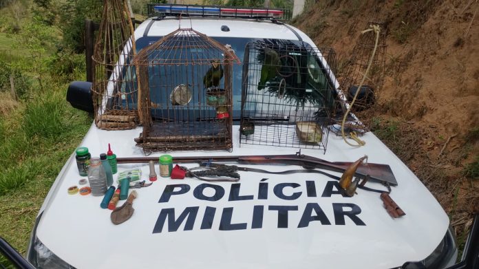 Polícia ambiental