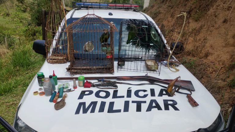 PM Ambiental apreende armas, armadilhas e animais durante operação em São José