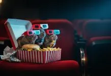Ministério Público apura denúncia de presença de ratos em cinema de shopping de João Pessoa