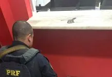 Casal é preso com quase 20 kg de cocaína na Via Dutra, em Cruzeiro