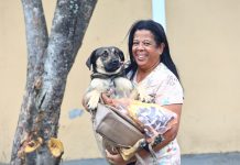 Castramóvel realiza atendimentos gratuitos em São Francisco Xavier neste domingo