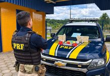 Polícia Rodoviária Federal prende jovem com medicamentos sem registro