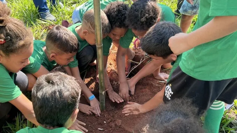 Prefeitura e SeMAE plantam 40 mudas às margens do Córrego dos Macacos