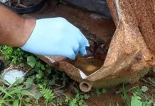 Veja os 35 bairros com maior risco para dengue na última semana, segundo o alerta da Saúde